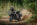 Zero Motorcycles DSR/X Black Forest
